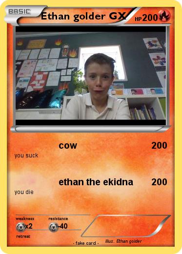 Pokemon Ethan golder