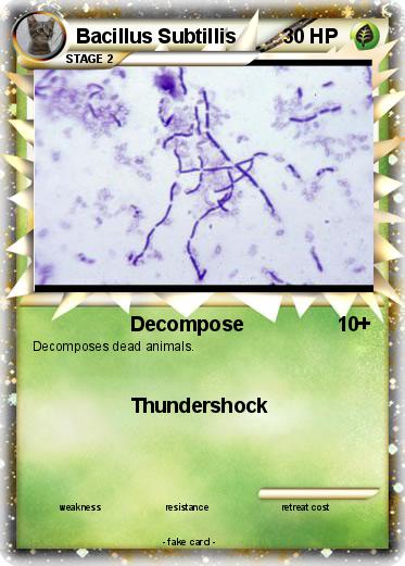 Pokemon Bacillus Subtillis