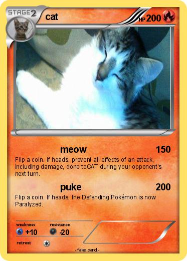 Pokemon cat