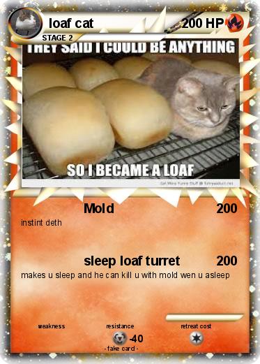 Pokemon loaf cat