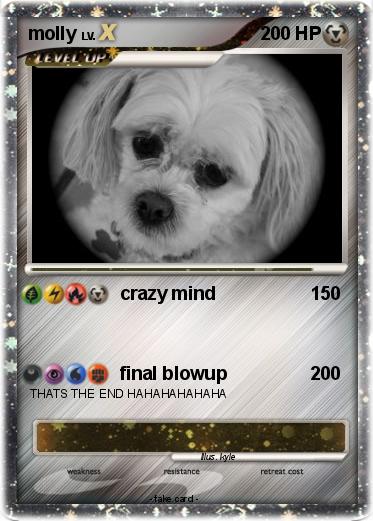 Pokemon molly