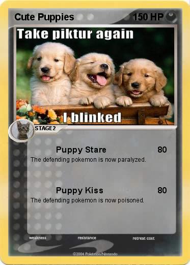Pokemon Cute Puppies