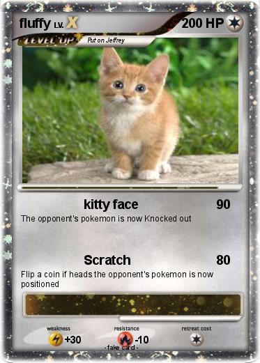 Pokemon fluffy