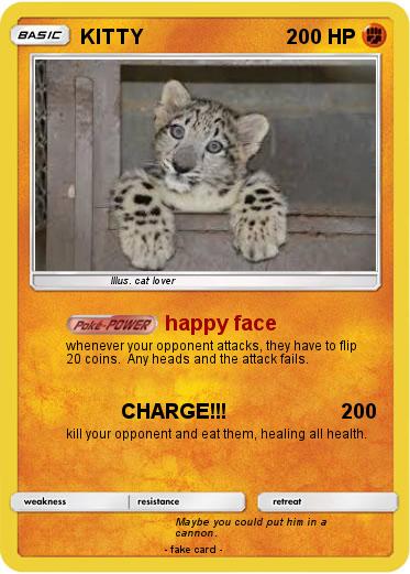Pokemon KITTY