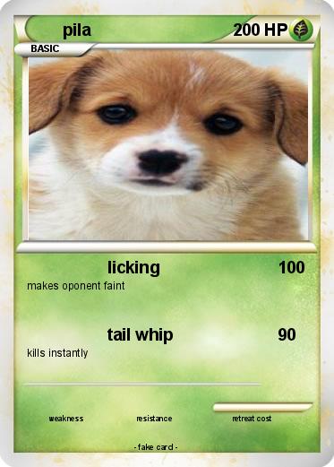 Pokemon pila