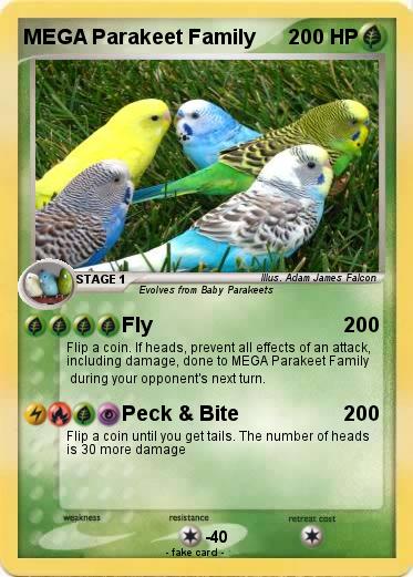 Pokemon MEGA Parakeet Family