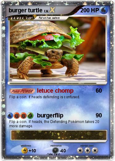 Pokemon burger turtle
