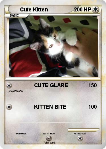 Pokemon Cute Kitten