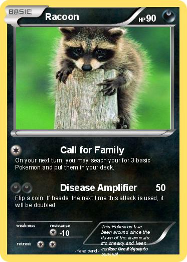Pokemon Racoon