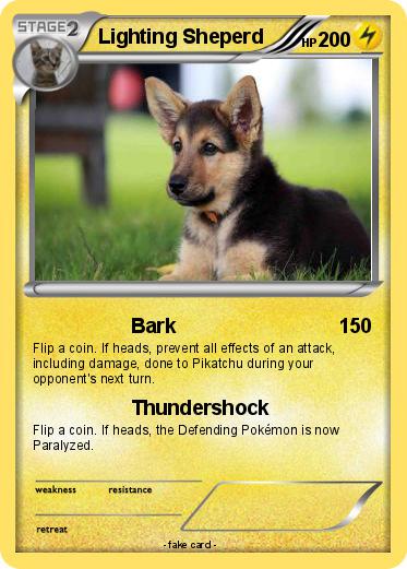 Pokemon Lighting Sheperd