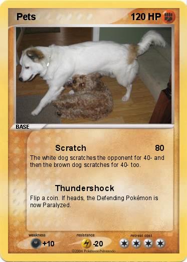 Pokemon  Pets
