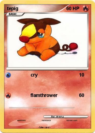 Pokemon tepig