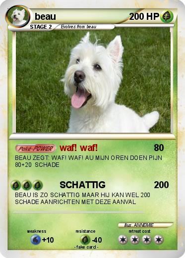Pokemon beau