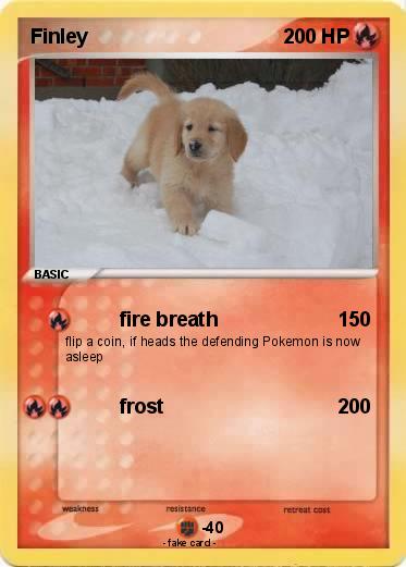 Pokemon Finley