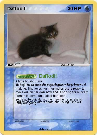 Pokemon Daffodil