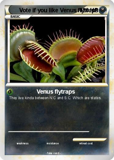 Pokemon Vote if you like Venus flytraps