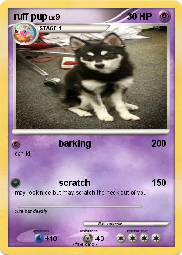 Pokemon ruff pup