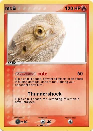 Pokemon mr.B