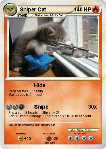 Pokemon Sniper Cat