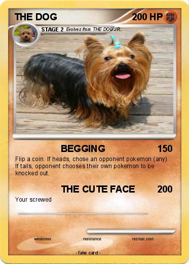 Pokemon THE DOG