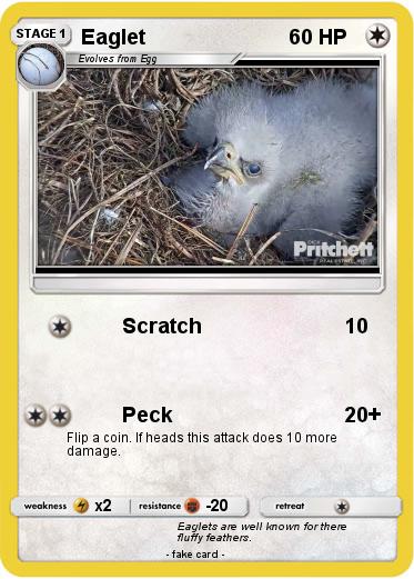 Pokemon Eaglet
