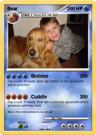 Pokemon Bear