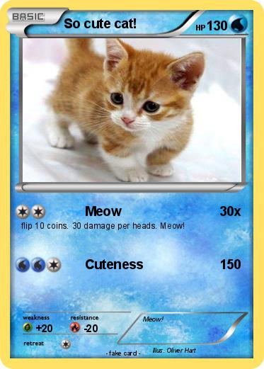Pokemon So cute cat!