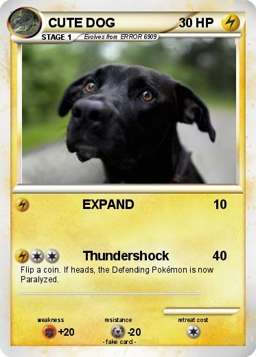 Pokemon CUTE DOG