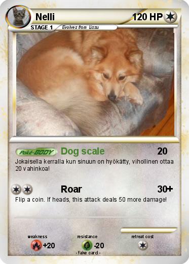 Pokemon Nelli
