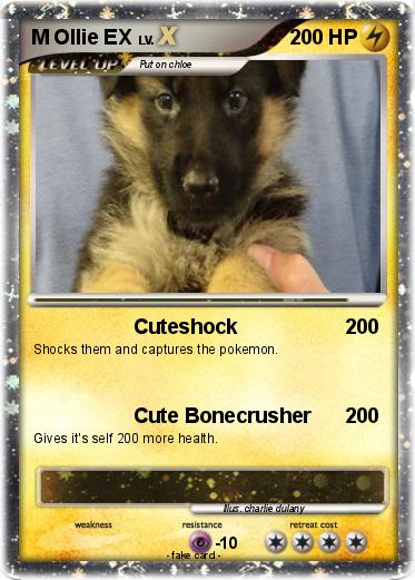 Pokemon M Ollie EX