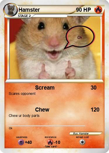 Pokemon Hamster