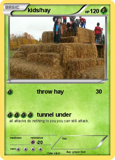 Pokemon kids/hay