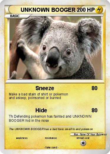 Pokemon UNKNOWN BOOGER