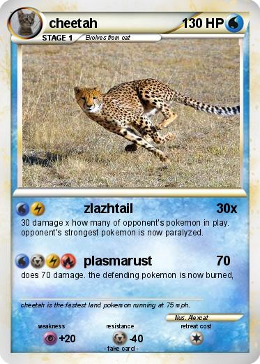 Pokemon cheetah