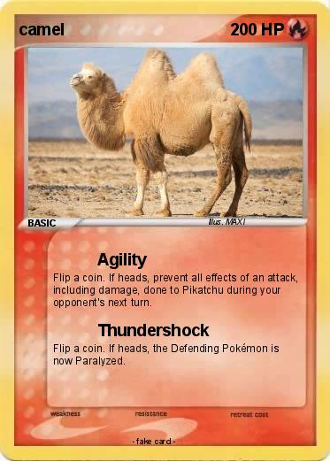 Pokemon camel