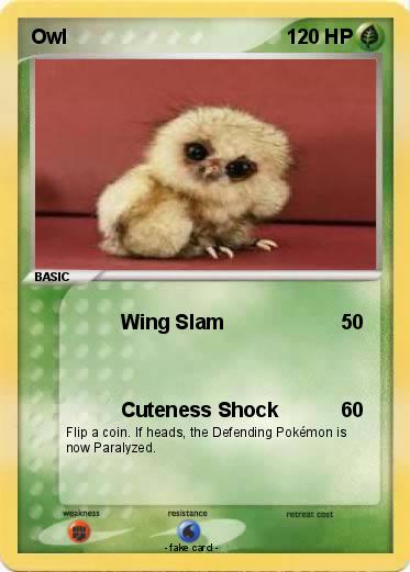 Pokemon Owl