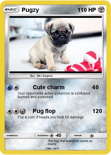 Pokemon Pugzy