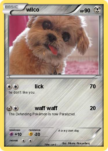 Pokemon wilco