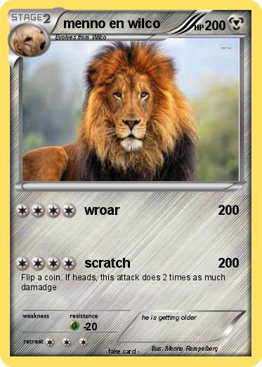 Pokemon menno en wilco