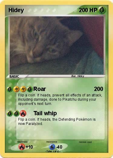 Pokemon Hidey