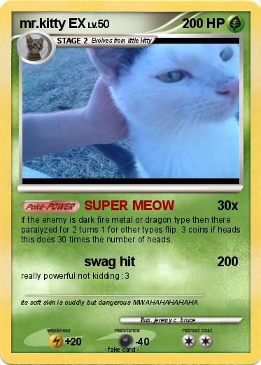Pokemon mr.kitty EX