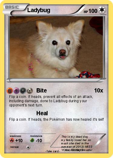 Pokemon Ladybug