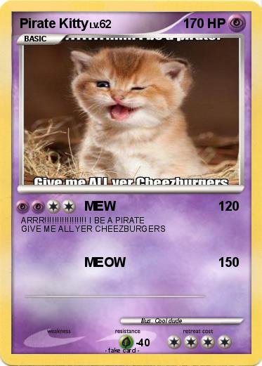 Pokemon Pirate Kitty