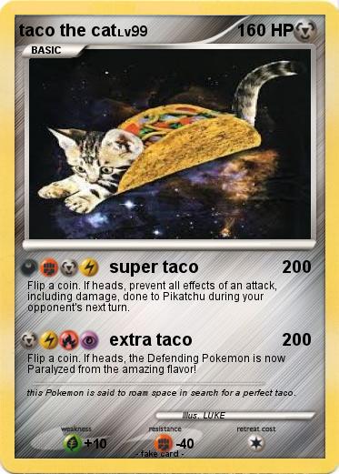 Pokemon taco the cat