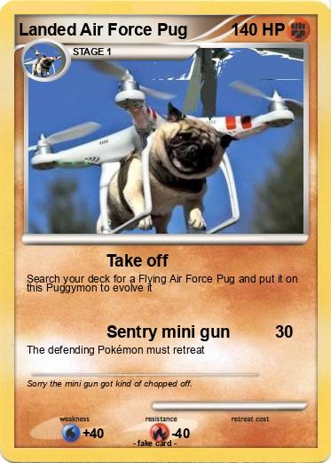 Pokemon Landed Air Force Pug
