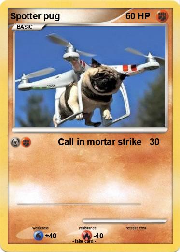 Pokemon Spotter pug