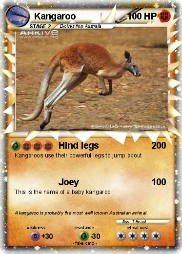 Pokemon Kangaroo