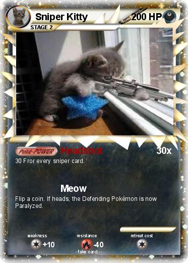 Pokemon Sniper Kitty