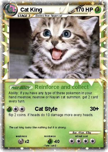 Pokemon Cat King