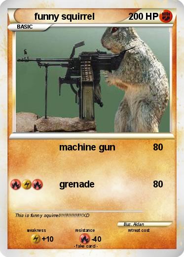 Pokemon funny squirrel